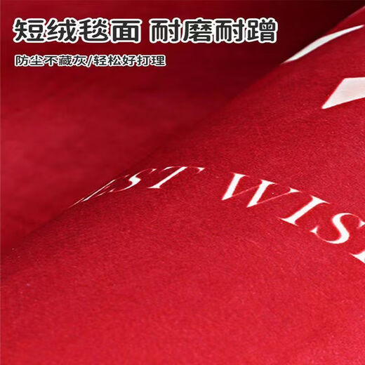 Shansui Fuman New Home Entrance Floor Mat Entry Floor Mat Moving New House Relocation Entrance Door Festive Red Carpet Mat Fumanju/Vertical Version 80x100cm