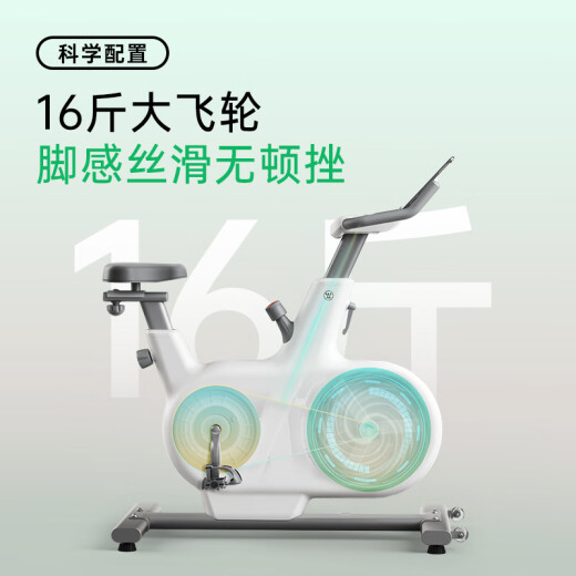 Westinghouse spinning home exercise bike indoor silent bicycle exercise fitness equipment WB15