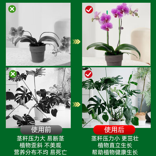 
Climbing fixed binding rod Money tree support rod Indoor fruits, flowers, plants, gardening flower stand flower pot support rod 10 4mm green 50cm long 10 sets of hats
