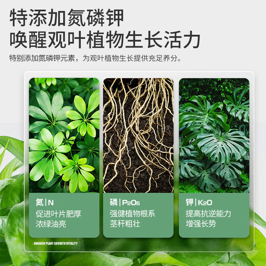 Стэнли, питательная почва для денежного дерева, специальная почва, удобрение, почвенный горшок, почва для посадки, органическая почва общего типа, питательная почва для денежного дерева, 10 л