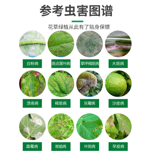 Phytosol 30% pyraclostrobin green certified fruit tree fungicide vegetable ulcer leaf spot brown spot pesticide fungicide