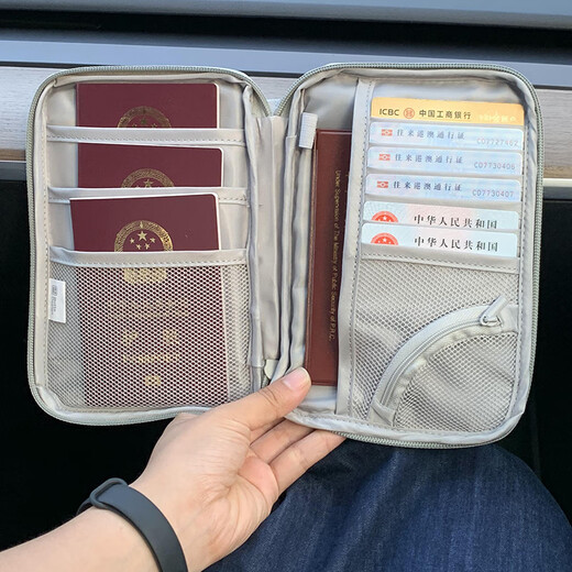 Warm and dry passport storage bag, carry-on boarding pass certificate protection case, travel abroad, family travel, change card, passport bag, passport bag - Galaxy Gray Small, suitable for 12 people
