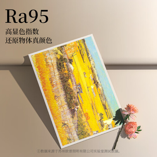 OPPLE Ceiling Lamp Living Room Headlight Smart LED Lighting Simple Modern Atmosphere Lamps Lighting Accessories See Package 1 Package Installation