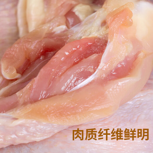 Wen's Hong Kong Three-Yellow Chicken 1kg Farmland Chicken Slowly Raised Free Range Chicken Frozen Braised White Cut Salt Baked Soup