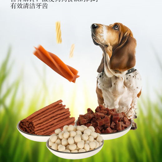 Nike Dog Snacks Gift Pack 800g Pet Snacks Puppy Teeth Stick Dog Teeth Cleaning Bone Beef Granules Chicken Jerky