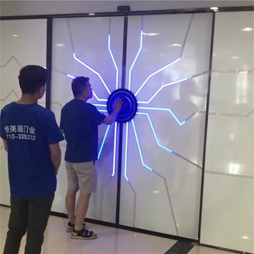 MEXEMINA科技门掌纹门 网红门科技门触控隐形门酒吧掌纹门电动感应门科的 图案