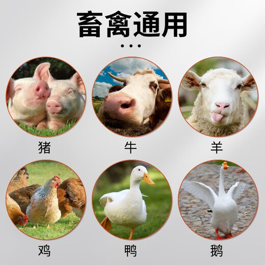 Huaruixin Astragalus crude extract, Astragalus polysaccharide powder, plant raw material feed additive for pigs, cattle, sheep, chickens, ducks and geese, 1 bag (500g/bag)