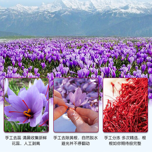 Saffron Iranian special grade full red filament dragon head phoenix tail, complete roots, long-lasting bubble-resistant qi and blood crocus, health tonics for women, gifts for saffron 3g