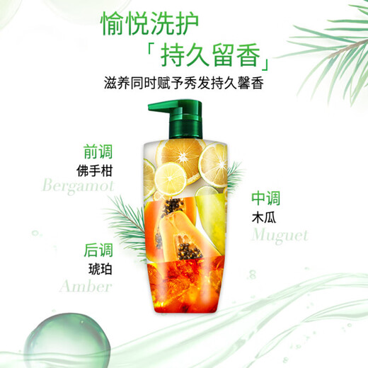 L'Oréal Ta Arbre Plante Shampooing Huile Rafraîchissement de l'huile Rafraîchissement Oil Contrôle des femmes Anti-phares pour femmes Shampooing 500 ml * 3
