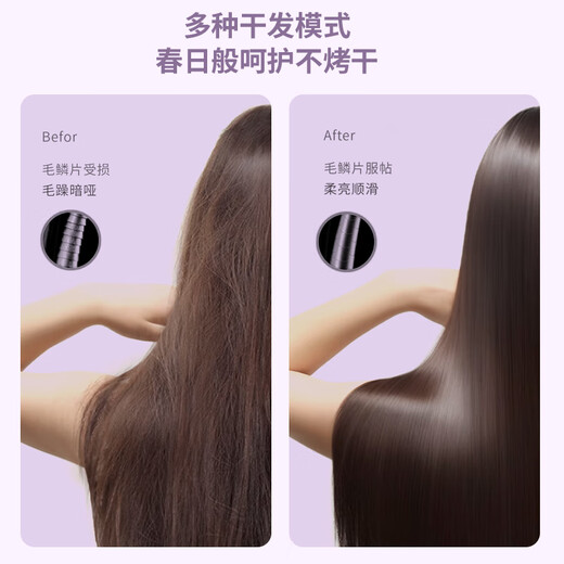 Syouran hair dryer for student dormitories, small power folding hair dryer for men and women, portable college dormitory hair dryer 500W, 800W, negative ions below 1000W, not harmful to hair, purple 800W foldable (hair dryer for student dormitories)