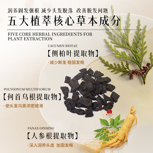 Daiqing Silk Antieletion Shampoo Shampoo Fat Donglai Тот же официальное солидное развитие и рост крем для волос Флагманский антилоговый мужчина и женский магазин 1 бутылка 420 мл [контроль нефти, анти-отрывок, антиталость и пушистость]
