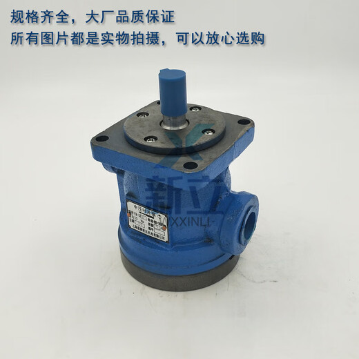Jingsenzhen medium pressure vane pump YB-D6.3 YB-D80