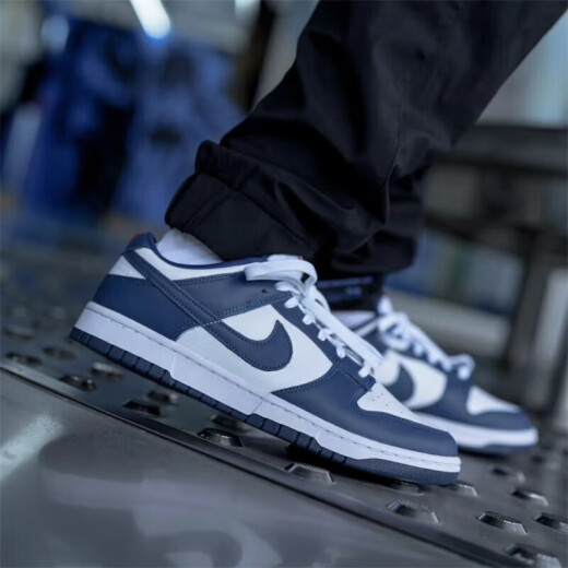 耐克（NIKE）休闲鞋男鞋2025夏季新款运动鞋Dunk Low低帮轻便板鞋DD1391-400 DD1391-400 39