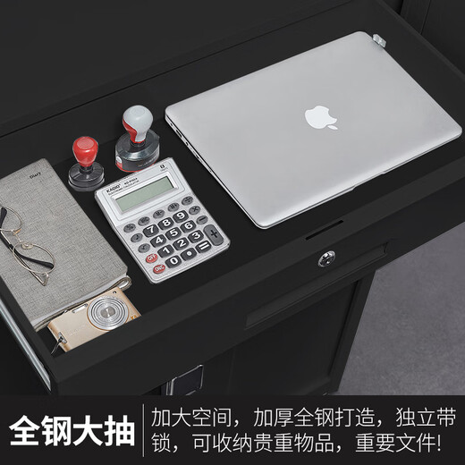 天迎保密柜文件柜智能锁具纯黑通双节TY-BM5266