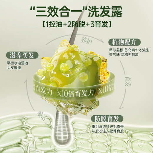 茵倩生姜防脱育发洗发水 男女士防脱发洗发水 控油蓬松去屑固发洗头膏