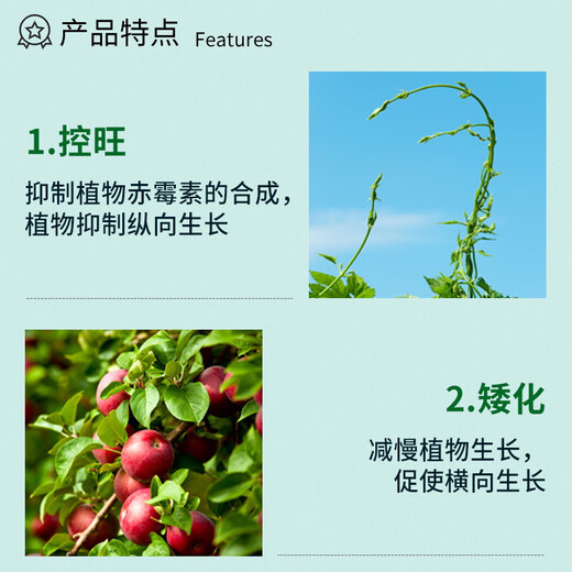 Guoguang 15% paclobutrazol fruit tree plant flower chrysanthemum lily succulent wheat rice dwarfing agent short and strong control 18g