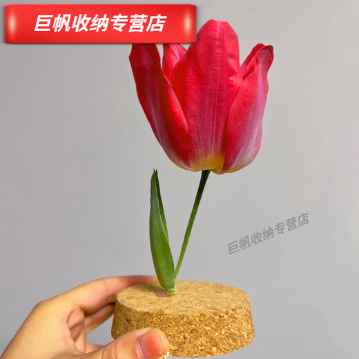
Cork immortal flower glass cover rose ornament blind box dustproof dry flower glass cover display box cylindrical 1517cm cork base