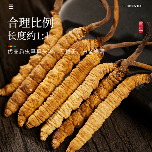 Fudonghai Cordyceps sinensis 4 grams gift box - about 3 pieces/g12 tubes Gift tonics for elders