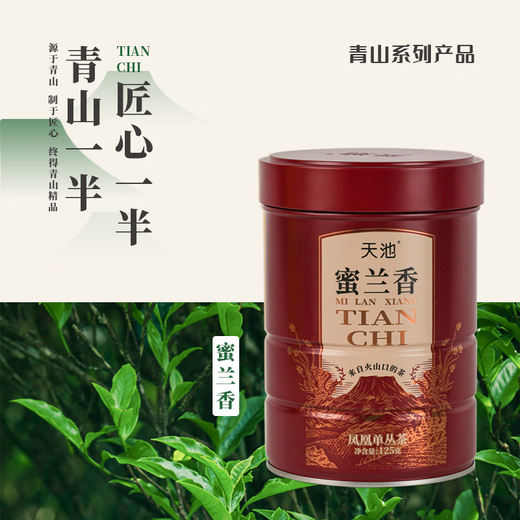 天池茶叶凤凰单枞鸭屎香乌龙茶青山潮州单丛春茶新茶罐装自饮送长辈 蜜兰香125g*1罐
