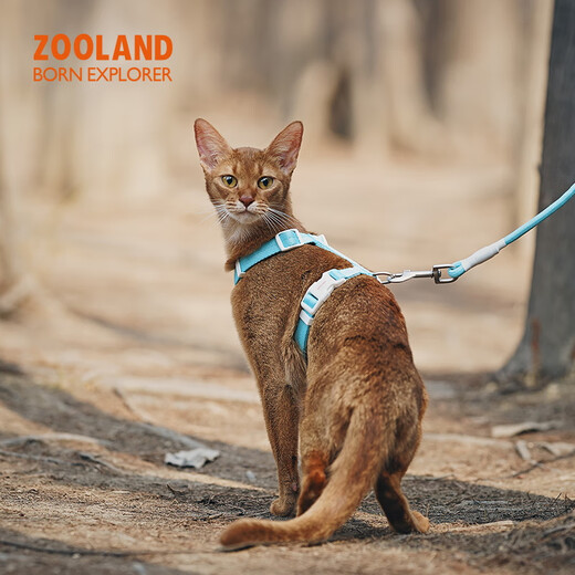 ZOOLAND cat traction rope to prevent break-away, walk large and small kittens, high appearance, lengthened adjustable I-shaped chest and back, pure black L-recommended 5-16 Jin Jin equals 0.5 kg