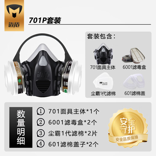 迈盾 毒霸防毒面具防甲醛喷漆防尘口罩面罩电焊农药化工粉尘活性炭装修硅胶防护面罩 602P标准版 701P套装【小号】