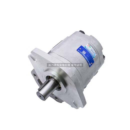 长源齿轮泵CBF-F650/F663/F671/F680/F690/F6100AFP修理包 CBF-F671-AFHL