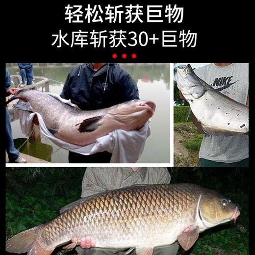 JMISI imported super soft large fishing line main line sub-line with strong pull force without twisting 100 meters super soft large line 2 reels transparent sub-line No. 20