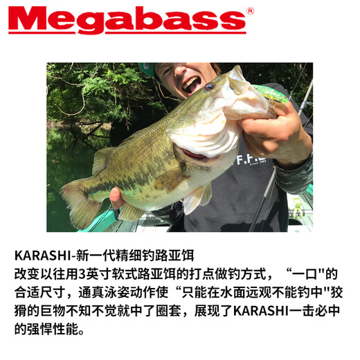 Mégabasse japonais mégabasse appât appât crayon silking karashi petit poivron fine pêche à couler lent 5 grammes 6630
