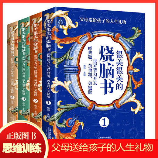 【京仓速发 明日达】很美很美的烧脑书全4册 世界智力开发经典题7-12岁小学生思维逻辑儿童数学逻辑思维训练开发书14225**9