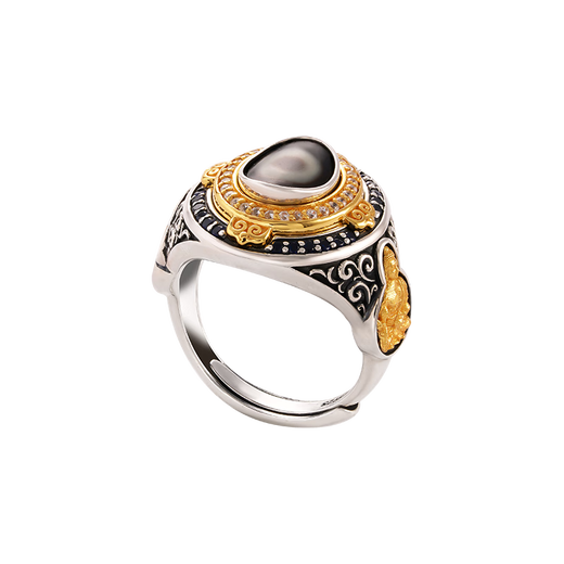 Potala Palace Silver Ring Tiger Tooth Dzi Beads Agate Ring Men's and Women's Couple Rings Tibetan Ethnic Style Birthday Gifts New Year's Warm Dzi Bead Rings