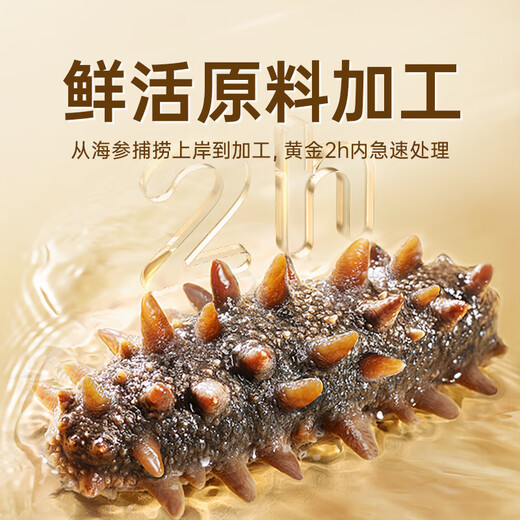 Zhenpintang Dalian ready-to-eat sea cucumbers ready to eat fresh sea cucumbers individually packaged seafood aquatic products gifts for elders Dalian bottom-sown sea cucumbers ready to eat 4 Jin Jin equal to 0.5 kg 56-64 pieces