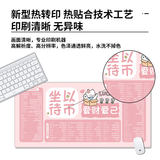 趣味极快捷键大全超大可爱卡通鼠标垫笔记本电脑键盘垫学习办公桌垫女生可定制百搭高颜值加厚锁边 13972 人间小富婆 1000毫米*500毫米*4毫米