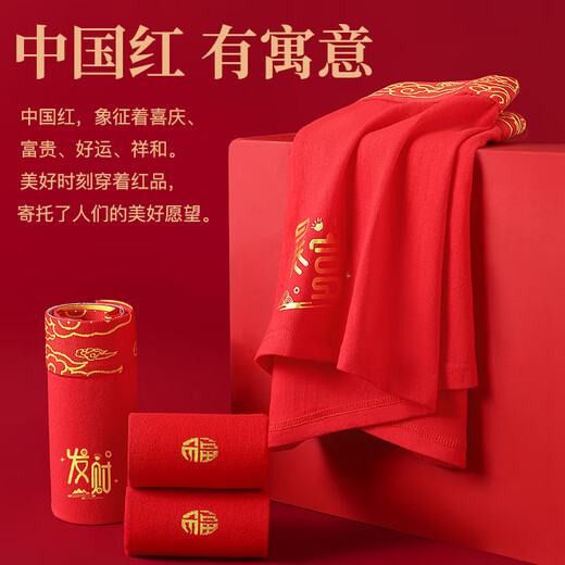 Cat Man Red Underwear Men's Zodiac Year Horse Year Men's Boxer Briefs Cotton Youth Antibacterial Boxer Briefs Red Socks Combination