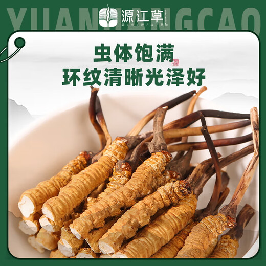 源江草冬虫夏草断虫草甄选断草 实惠装 老年人营养品自食用送礼 断草8克