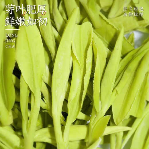 Chen Yifan Longjing Tee Tea 2025 Neue Tee Mingqian Green Tea Hangzhou Qiantang Longjing Geschenkbox 250g