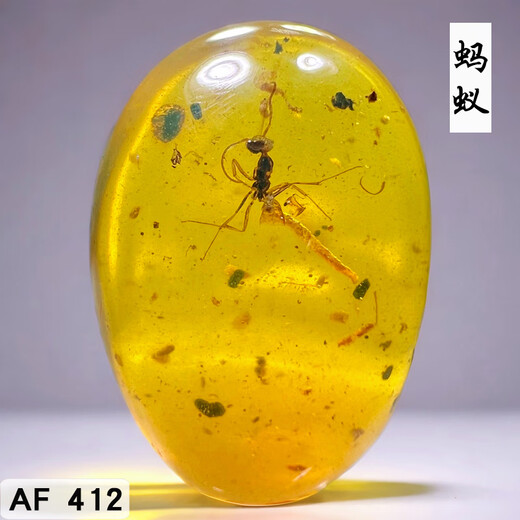 Zi Mian natural Burmese amber raw ore water purified gold blue gold amber blood tea amber water gall plant large insect amber stone ring face pendant No. AF412 Height, width and thickness 18 13 8m