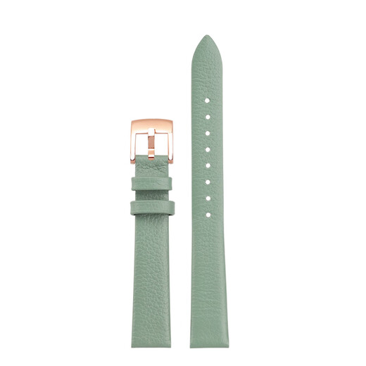 ADH women's genuine leather watch strap adapted to Armani small square watch small green watch AR11302 AR11149 14mm bracelet dark green-gold buckle width 14mm