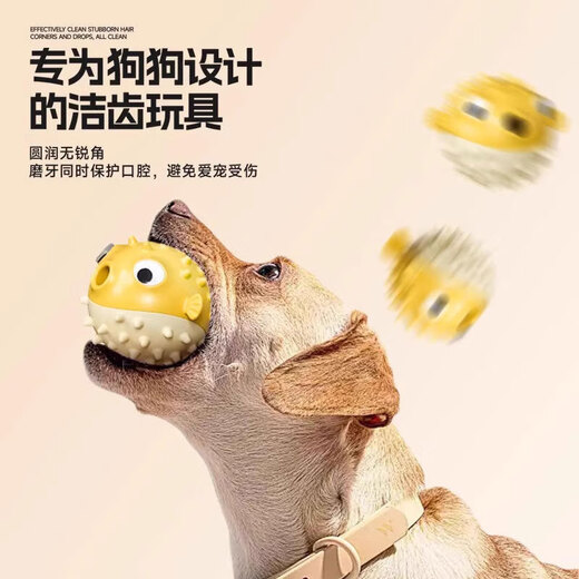 HuanChong.com pet dog toy ball to play with to relieve boredom, resistant to biting, grinding teeth and leaking food, puppy, puppy, dog walking, amusing dog, dog training artifact