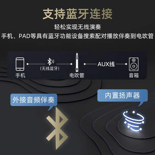 珠江艾茉森AE300电吹管新型乐器充电儿童青中老年人初学萨克斯葫芦丝演出 AE300白+耳机+音频线