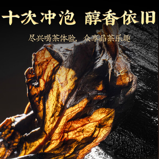 Zhenchashi Oolong Tea Wuyi Rock Tea Dahongpao Special 250g Boîte à feu moyen-feu Wuyishan Cinnamon Tea Brink
