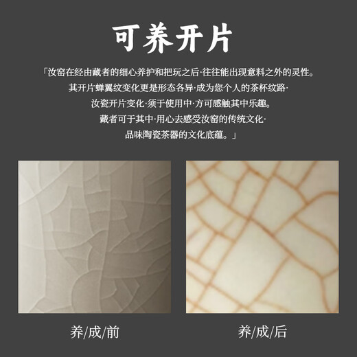 Eight Thousand Lines Travel Tea Set Portable Quick Cup Complete Set Kung Fu Tea Hand-caught Pot Covered Bowl Three-piece Set Single Outdoor