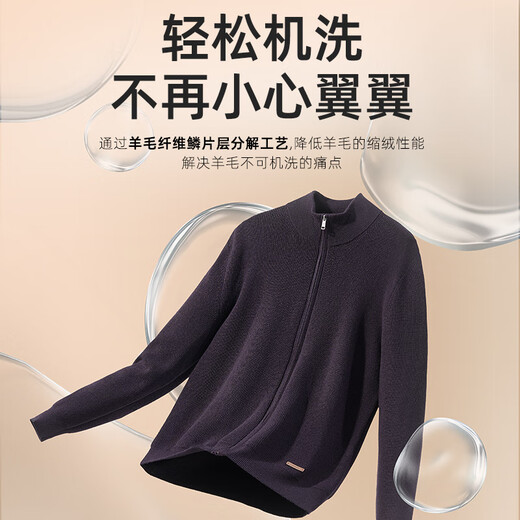 雅戈尔（YOUNGOR）毛衫男士秋冬青年男毛衫拉链开衫羊毛衫羊毛混纺面料2色合款 黑色VWHW619967ALA M 100c