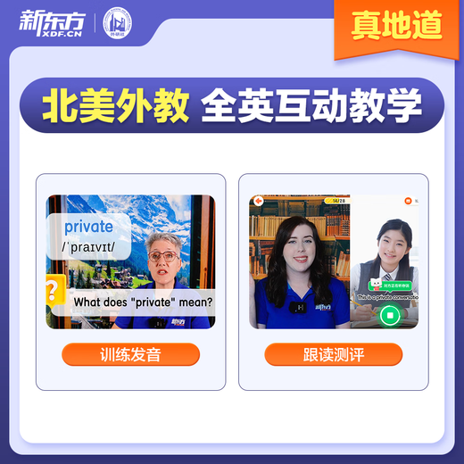 新东方新概念教材1、2英语系统网课中教+外教+ai 视频课录播课零基础入门自学 【送阅读课+1年伴学营】新概念2