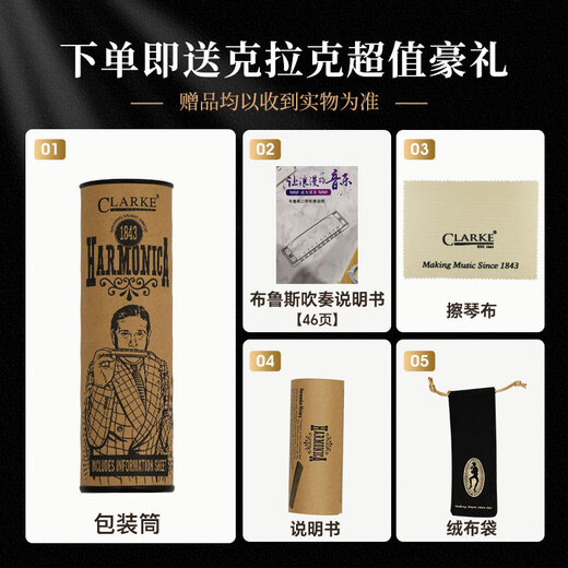CLARKE英国克拉克10孔布鲁斯口琴十孔蓝调高级成人儿童初学者专业演奏