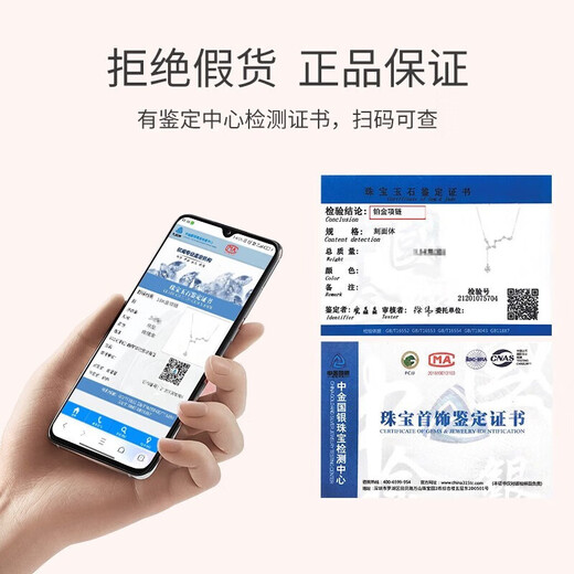 Grace Girl Diamond Platinum Polaris Necklace Women's Light Luxury Platinum Light Luxury Clavicle Chain as a Chinese Valentine's Day Gift for Girlfriend Platinum North Star Necklace + Light Luxury Gift Box