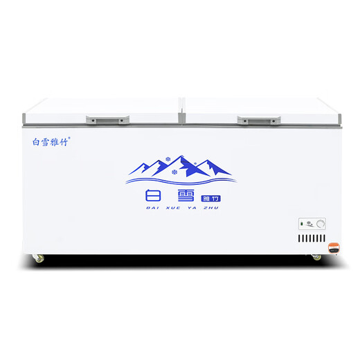白雪雅竹冰柜商用大容量全冷冻大型冰柜家用冷藏冷冻两用卧式冷柜展示柜 788单温【经济款】1700x690x850
