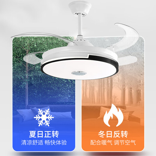XMSJ invisible fan lights modern simple dining room ceiling fan lights living room bedroom home fan chandelier wholesale T09 black-42 inch frequency conversion remote control