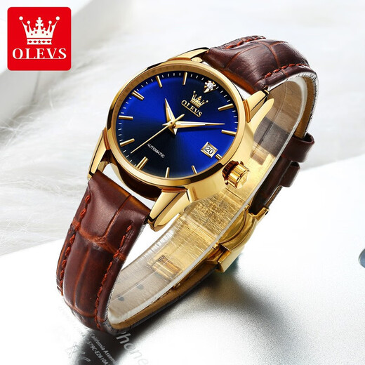 Olevs Swiss Certified Brand Watch Women's Vollautomatische mechanische Uhr Luminous Water of Women's Watch Einfaches Temperament Licht Luxus Frauen Uhr OLEVS-6629 Women-Brown Leder Blue Face