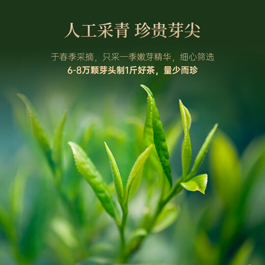 华祥苑 金骏眉红茶 武夷山特级茶叶 武夷印象240g礼盒送礼