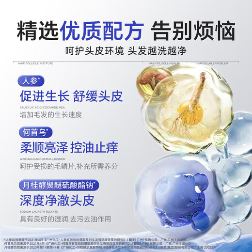 Baiyunshan Selenium Disulfid Shampoo Anti-Dandruff Anti-Chon-Kontrollölflausch und erfrischende silikonfreie Shampoo-Männer und Frauen 400 ml